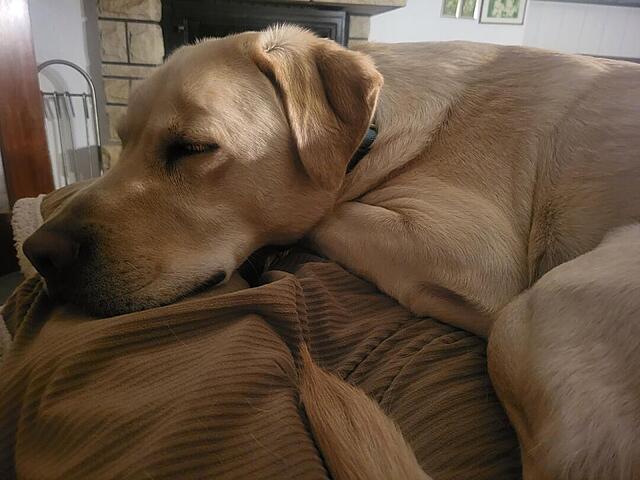 Klicke auf die Grafik für eine vergrößerte Ansicht  Name: 20251204_180453.jpg Ansichten: 0 Größe: 85,2 KB ID: 1197179