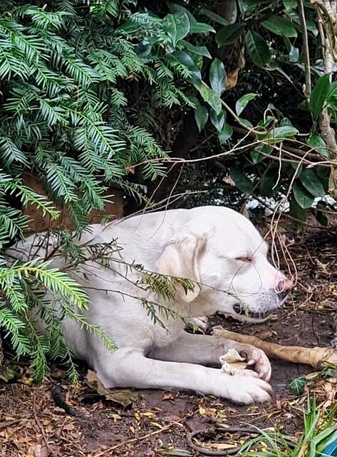 Klicke auf die Grafik für eine vergrößerte Ansicht  Name: Screenshot_20251205_135216_Gallery.jpg Ansichten: 0 Größe: 163,2 KB ID: 1197193