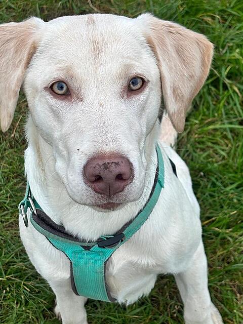 Klicke auf die Grafik für eine vergrößerte Ansicht

Name: d60d941e-f0a4-41bb-97d6-4fe46ba8cc5a.jpg
Ansichten: 0
Größe: 128,3 KB
ID: 1197206