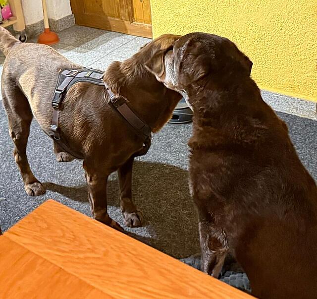 Klicke auf die Grafik für eine vergrößerte Ansicht  Name: 06.jpg Ansichten: 0 Größe: 140,4 KB ID: 1197336