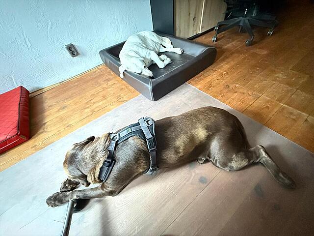 Klicke auf die Grafik für eine vergrößerte Ansicht  Name: 01.jpg Ansichten: 0 Größe: 114,3 KB ID: 1197337