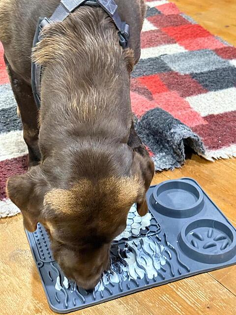 Klicke auf die Grafik für eine vergrößerte Ansicht  Name: 05.jpg Ansichten: 0 Größe: 138,9 KB ID: 1197338