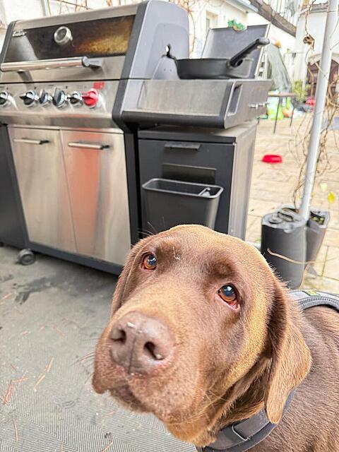 Klicke auf die Grafik für eine vergrößerte Ansicht  Name: 02.jpg Ansichten: 0 Größe: 109,7 KB ID: 1197340