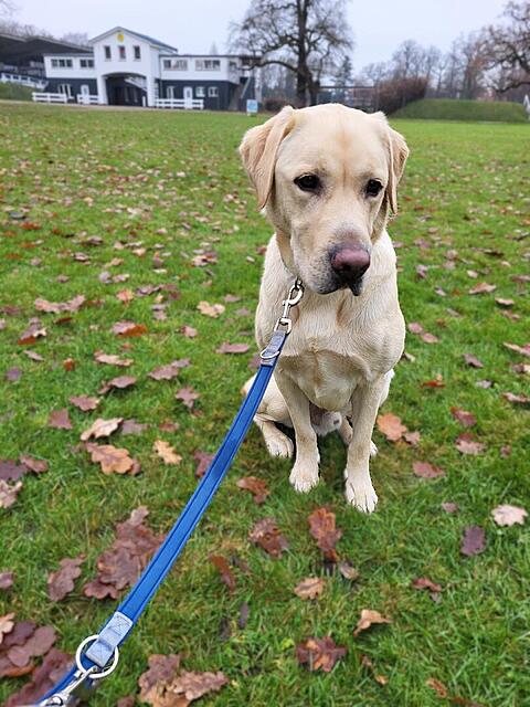 Klicke auf die Grafik für eine vergrößerte Ansicht  Name: 20251205_112738.jpg Ansichten: 0 Größe: 131,1 KB ID: 1197404