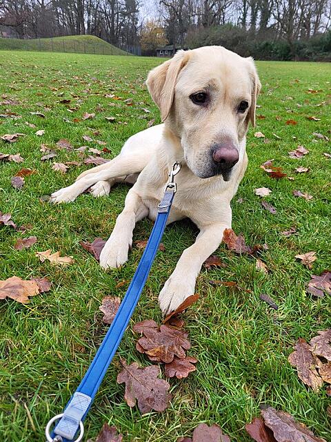 Klicke auf die Grafik für eine vergrößerte Ansicht  Name: 20251205_112748.jpg Ansichten: 0 Größe: 251,6 KB ID: 1197405