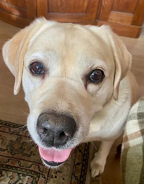 Klicke auf die Grafik für eine vergrößerte Ansicht

Name: 51f61f4d-57f9-40f7-93d3-3ec5c9a2171e.jpg
Ansichten: 0
Größe: 111,0 KB
ID: 1197593