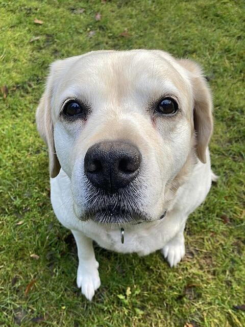 Klicke auf die Grafik für eine vergrößerte Ansicht

Name: b179651f-88ec-4b76-99b6-264685c18186.jpg
Ansichten: 0
Größe: 134,7 KB
ID: 1197732