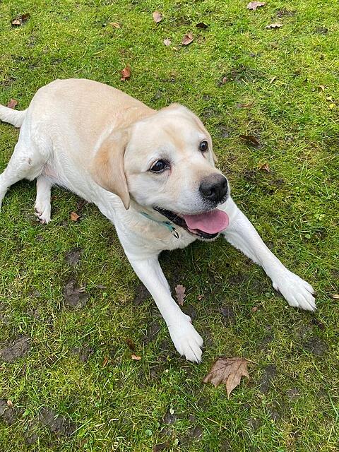 Klicke auf die Grafik für eine vergrößerte Ansicht

Name: ff86c43e-a6c3-4767-8a10-825ae05fbc70.jpg
Ansichten: 0
Größe: 272,9 KB
ID: 1197733