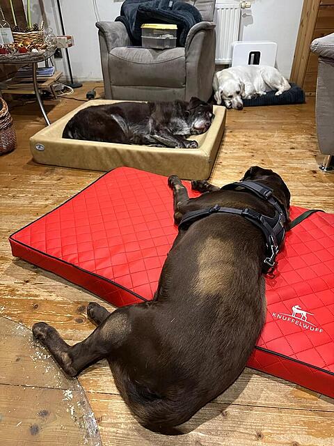 Klicke auf die Grafik für eine vergrößerte Ansicht  Name: Chillen.jpg Ansichten: 0 Größe: 147,4 KB ID: 1197858