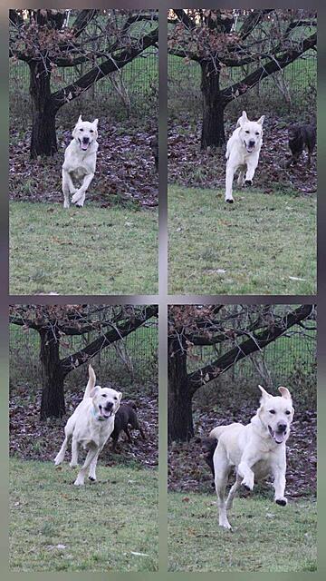 Klicke auf die Grafik für eine vergrößerte Ansicht  Name: _Komm.jpg Ansichten: 0 Größe: 125,9 KB ID: 1197861