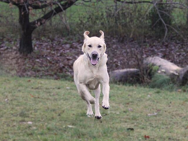 Klicke auf die Grafik für eine vergrößerte Ansicht  Name: _IMG_7630.jpg Ansichten: 0 Größe: 73,8 KB ID: 1197862