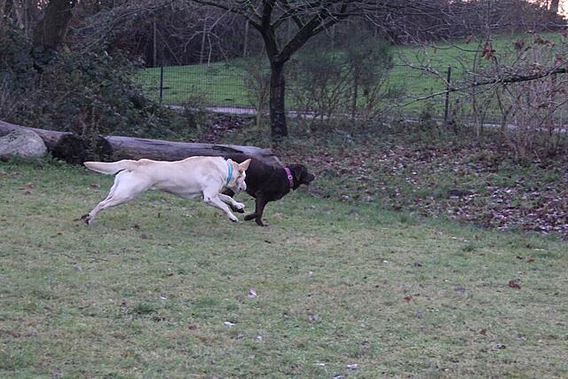 Klicke auf die Grafik für eine vergrößerte Ansicht  Name: _IMG_7620.jpg Ansichten: 0 Größe: 122,3 KB ID: 1197863