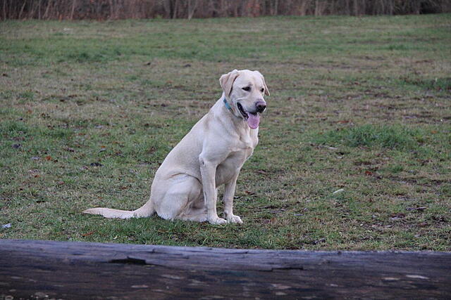 Klicke auf die Grafik für eine vergrößerte Ansicht  Name: _IMG_7658.jpg Ansichten: 0 Größe: 115,1 KB ID: 1197865