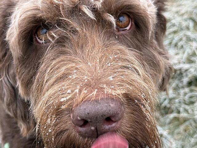 Klicke auf die Grafik für eine vergrößerte Ansicht  Name: IMG_9489.jpg Ansichten: 0 Größe: 152,1 KB ID: 1198075