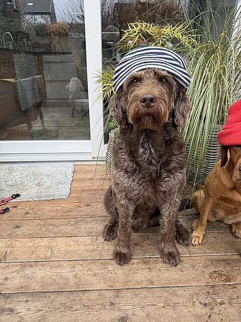 Klicke auf die Grafik für eine vergrößerte Ansicht  Name: IMG_9855.jpg Ansichten: 0 Größe: 173,7 KB ID: 1198077