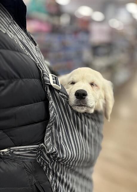 Klicke auf die Grafik für eine vergrößerte Ansicht  Name: IMG_9742.jpg Ansichten: 0 Größe: 79,1 KB ID: 1198090