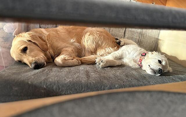 Klicke auf die Grafik für eine vergrößerte Ansicht  Name: IMG_9709.jpg Ansichten: 0 Größe: 72,8 KB ID: 1198092