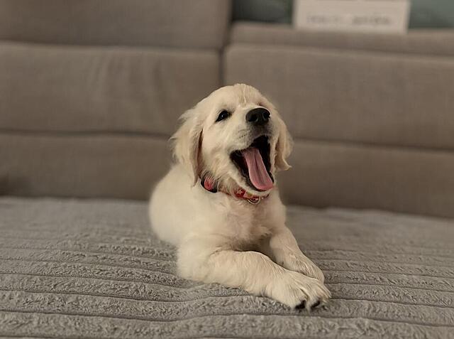 Klicke auf die Grafik für eine vergrößerte Ansicht  Name: IMG_9560.jpg Ansichten: 0 Größe: 59,7 KB ID: 1198094