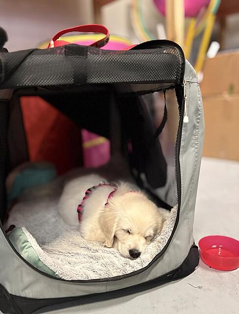 Klicke auf die Grafik für eine vergrößerte Ansicht  Name: IMG_9553.jpg Ansichten: 0 Größe: 85,0 KB ID: 1198095