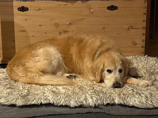 Klicke auf die Grafik für eine vergrößerte Ansicht  Name: 94378040-fac1-4c8b-af2a-e2bc334d4ed6.jpg Ansichten: 0 Größe: 148,1 KB ID: 1198201