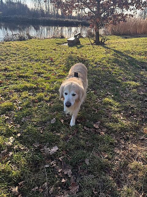 Klicke auf die Grafik für eine vergrößerte Ansicht  Name: f3fdd05e-c729-498f-9212-fc82dadaf992.jpg Ansichten: 0 Größe: 286,9 KB ID: 1198203