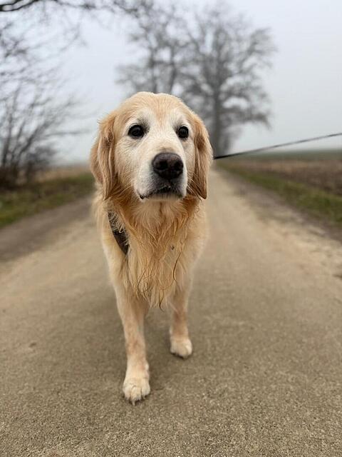 Klicke auf die Grafik für eine vergrößerte Ansicht  Name: f4ffb304-a7f2-42a8-9faa-b686fc1dfc46.jpg Ansichten: 0 Größe: 74,2 KB ID: 1198204