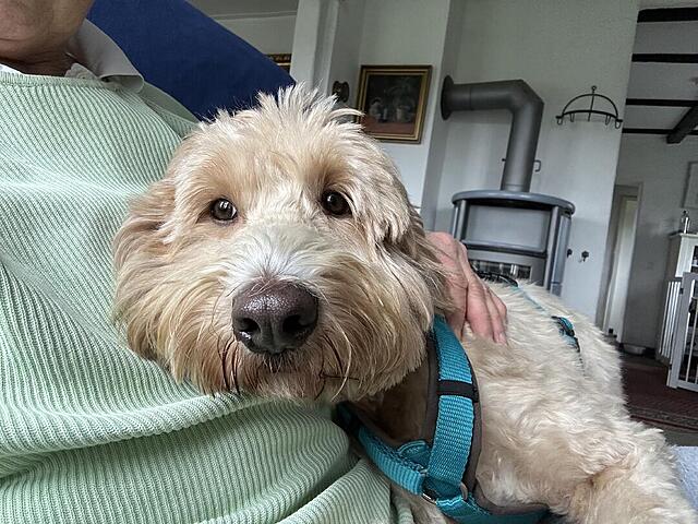 Klicke auf die Grafik für eine vergrößerte Ansicht  Name: IMG_9394.jpg Ansichten: 0 Größe: 158,4 KB ID: 1201654