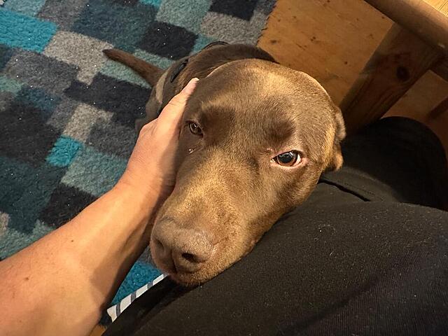 Klicke auf die Grafik für eine vergrößerte Ansicht  Name: Debby 2.jpg Ansichten: 0 Größe: 101,0 KB ID: 1198291