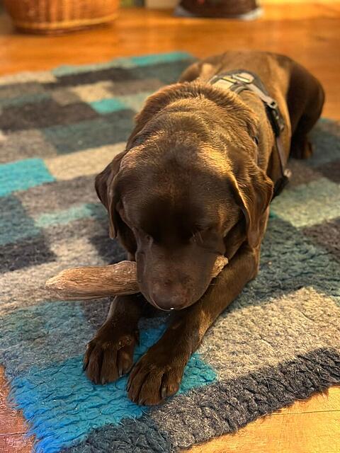 Klicke auf die Grafik für eine vergrößerte Ansicht  Name: Debby 1.jpg Ansichten: 0 Größe: 115,0 KB ID: 1198292