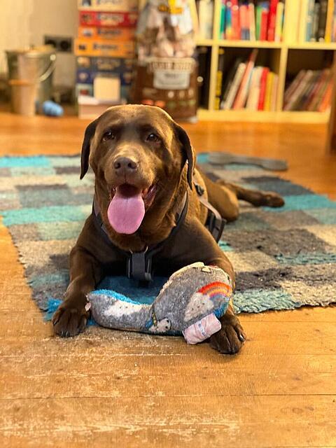 Klicke auf die Grafik für eine vergrößerte Ansicht

Name: IMG_5358.jpg
Ansichten: 0
Größe: 56,0 KB
ID: 1198295