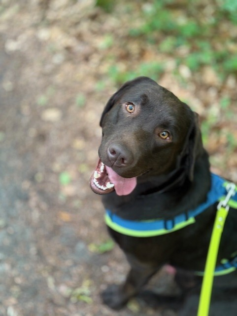 Klicke auf die Grafik für eine vergrößerte Ansicht

Name: Charlie12 #1721.jpg
Ansichten: 0
Größe: 52,0 KB
ID: 1198367