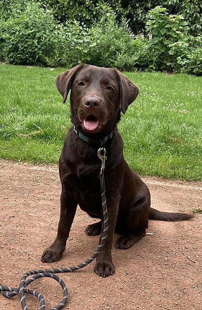 Klicke auf die Grafik für eine vergrößerte Ansicht

Name: Nelson.jpg
Ansichten: 0
Größe: 92,2 KB
ID: 1198368