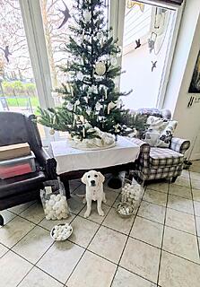 Klicke auf die Grafik für eine vergrößerte Ansicht  Name: PXL_20251217_115249099~2.jpg Ansichten: 0 Größe: 147,5 KB ID: 1198471