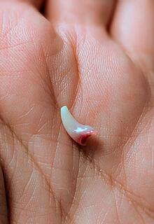 Klicke auf die Grafik für eine vergrößerte Ansicht  Name: PXL_20251218_195456514.PORTRAIT~2.jpg Ansichten: 0 Größe: 76,9 KB ID: 1198472