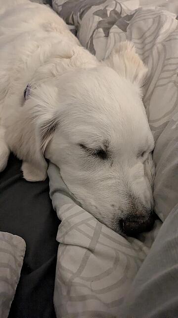 Klicke auf die Grafik für eine vergrößerte Ansicht  Name: PXL_20251216_203327838.jpg Ansichten: 0 Größe: 50,2 KB ID: 1198473