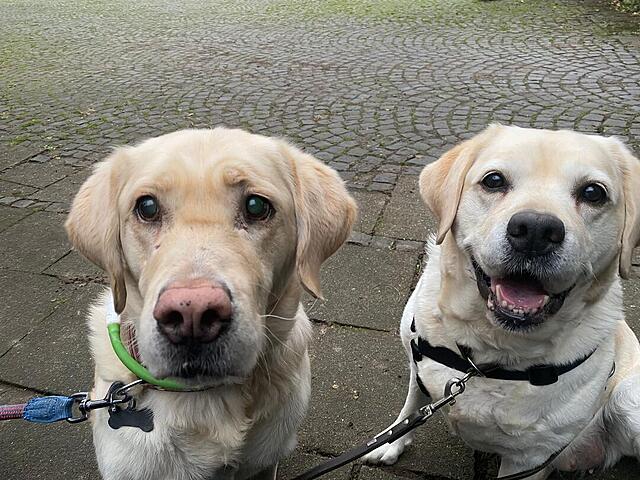 Klicke auf die Grafik für eine vergrößerte Ansicht  Name: f177b239-65a7-47d9-9b40-b1761def142f.jpg Ansichten: 0 Größe: 156,8 KB ID: 1198500