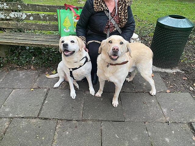 Klicke auf die Grafik für eine vergrößerte Ansicht  Name: d3709d73-aa4f-42b1-bd2f-8bf1848ba909.jpg Ansichten: 0 Größe: 231,3 KB ID: 1198501