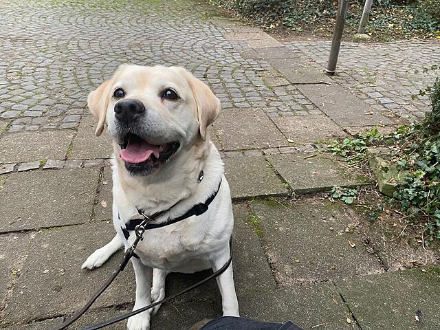 Klicke auf die Grafik für eine vergrößerte Ansicht  Name: 9d3ae504-886f-49f7-bc26-ec5cb87957e4.jpg Ansichten: 0 Größe: 206,7 KB ID: 1198502