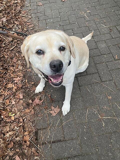 Klicke auf die Grafik für eine vergrößerte Ansicht  Name: 4457bf34-cc88-4358-ba65-cc0dabe216ad.jpg Ansichten: 0 Größe: 202,6 KB ID: 1198503