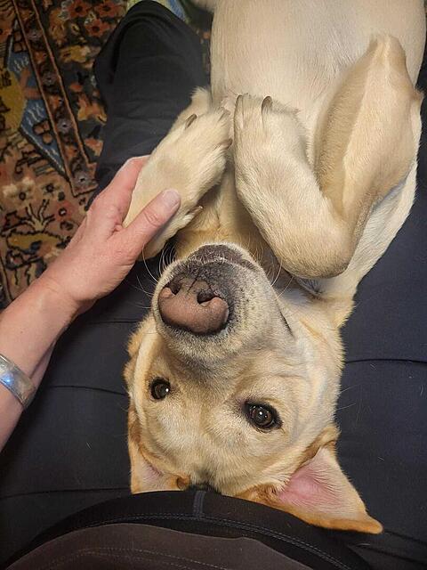 Klicke auf die Grafik für eine vergrößerte Ansicht  Name: wellness.jpg Ansichten: 0 Größe: 102,3 KB ID: 1198550