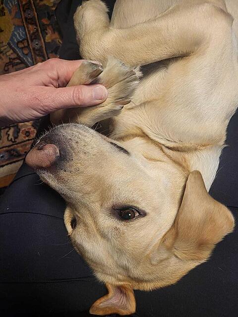 Klicke auf die Grafik für eine vergrößerte Ansicht  Name: Füße.jpg Ansichten: 0 Größe: 120,3 KB ID: 1198551