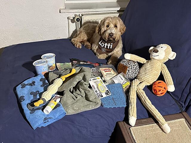 Klicke auf die Grafik für eine vergrößerte Ansicht  Name: IMG_9979.jpg Ansichten: 0 Größe: 158,4 KB ID: 1202918