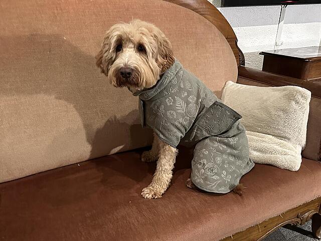 Klicke auf die Grafik für eine vergrößerte Ansicht  Name: IMG_9980.jpg Ansichten: 0 Größe: 110,6 KB ID: 1202919