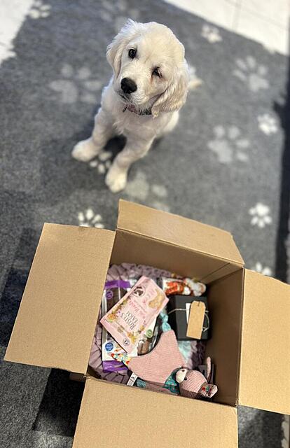 Klicke auf die Grafik für eine vergrößerte Ansicht  Name: IMG_9881.jpg Ansichten: 0 Größe: 76,5 KB ID: 1198636