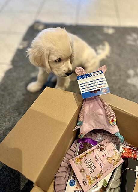 Klicke auf die Grafik für eine vergrößerte Ansicht  Name: IMG_9882.jpg Ansichten: 0 Größe: 95,1 KB ID: 1198637