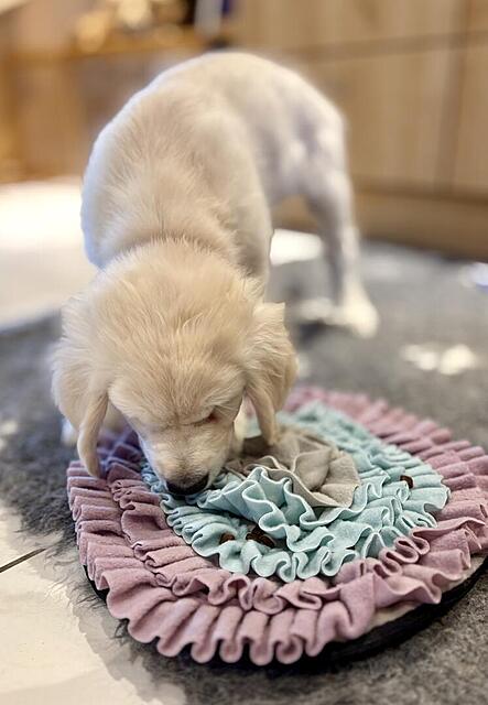 Klicke auf die Grafik für eine vergrößerte Ansicht  Name: IMG_9885.jpg Ansichten: 0 Größe: 74,1 KB ID: 1198638