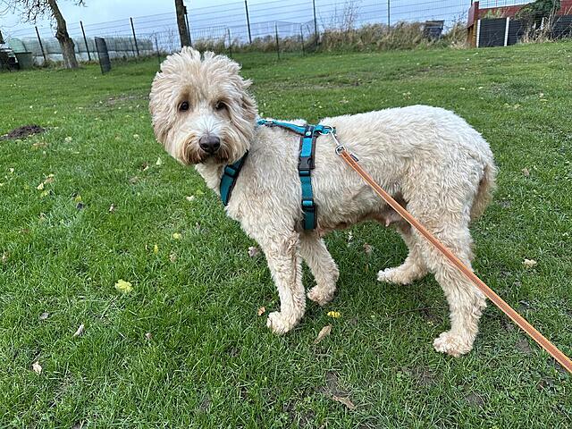 Klicke auf die Grafik für eine vergrößerte Ansicht  Name: IMG_9287.jpg Ansichten: 0 Größe: 250,1 KB ID: 1198685