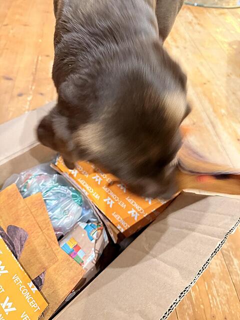 Klicke auf die Grafik für eine vergrößerte Ansicht

Name: IMG_3245.jpg
Ansichten: 0
Größe: 88,3 KB
ID: 1198729