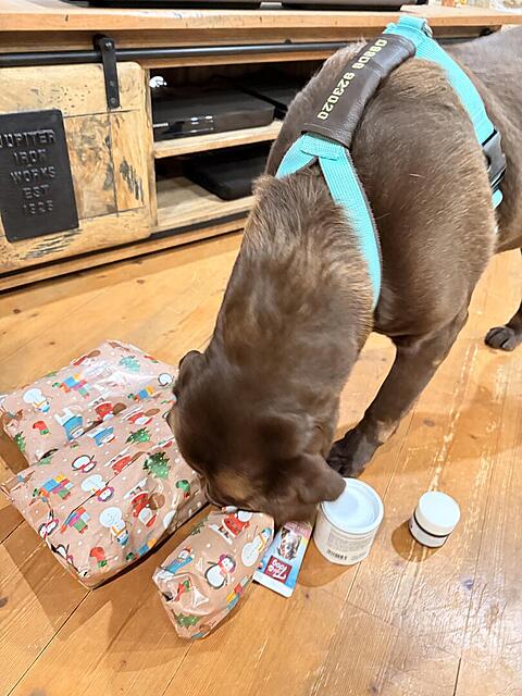 Klicke auf die Grafik für eine vergrößerte Ansicht

Name: IMG_3249.jpg
Ansichten: 0
Größe: 125,7 KB
ID: 1198732