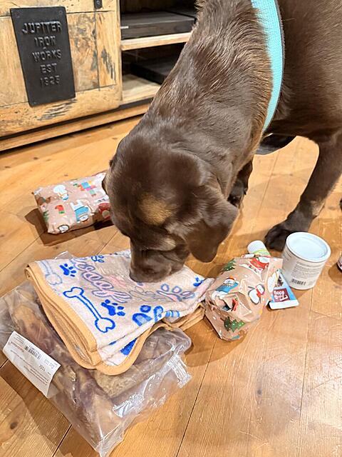 Klicke auf die Grafik für eine vergrößerte Ansicht

Name: IMG_3250.jpg
Ansichten: 0
Größe: 130,1 KB
ID: 1198733